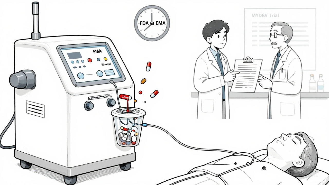 Dialysis patient with apixaban pills passing through filters while other drugs are blocked, doctors debating guidelines.